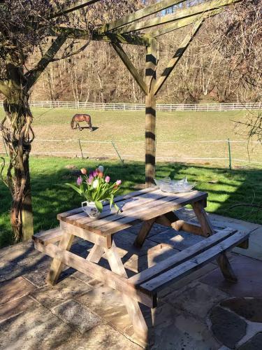 imgi_4_d4306aad-7df2-4bde-8e08-36ef55f53596